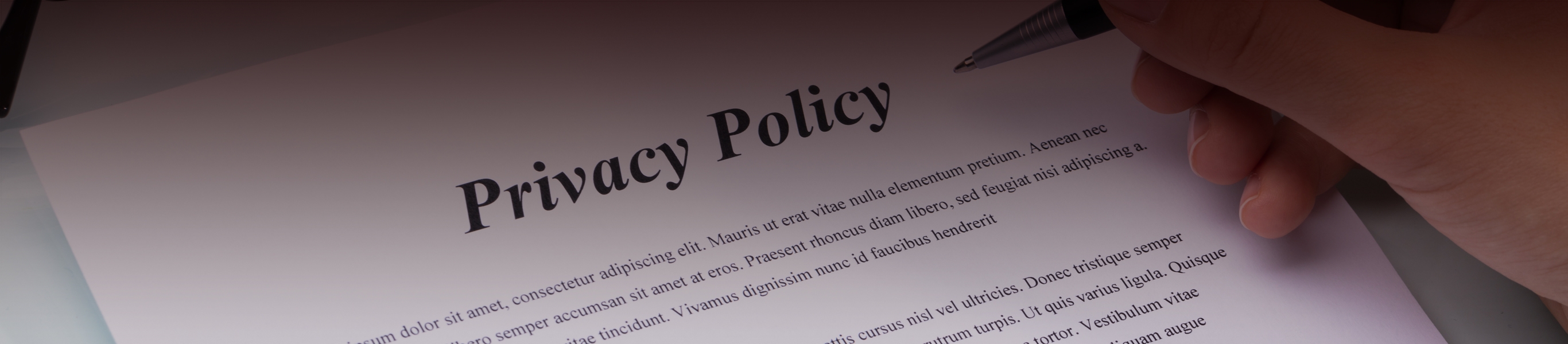 プライバシーポリシー Privacy Policy